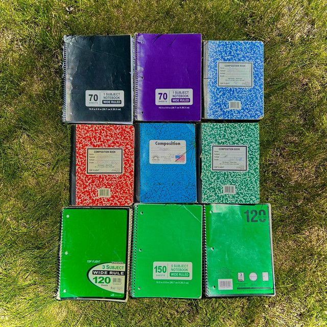 diaries of a stolen heart cover art