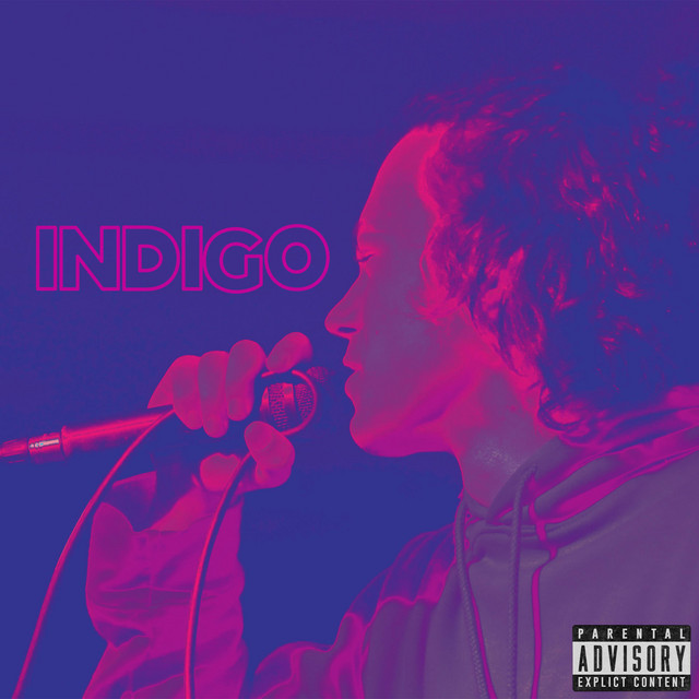 INDIGO cover art