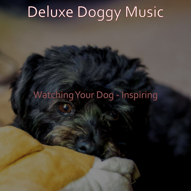 Dog Deluxe Photo