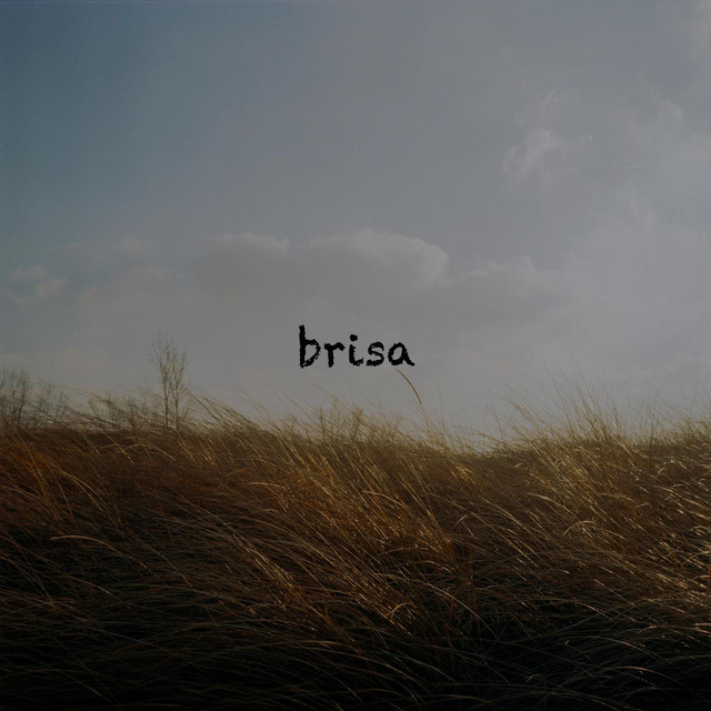 brisa cover art
