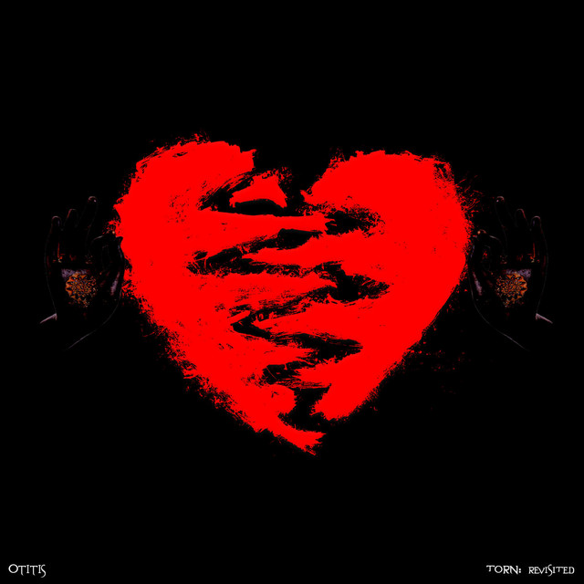 TORN cover art