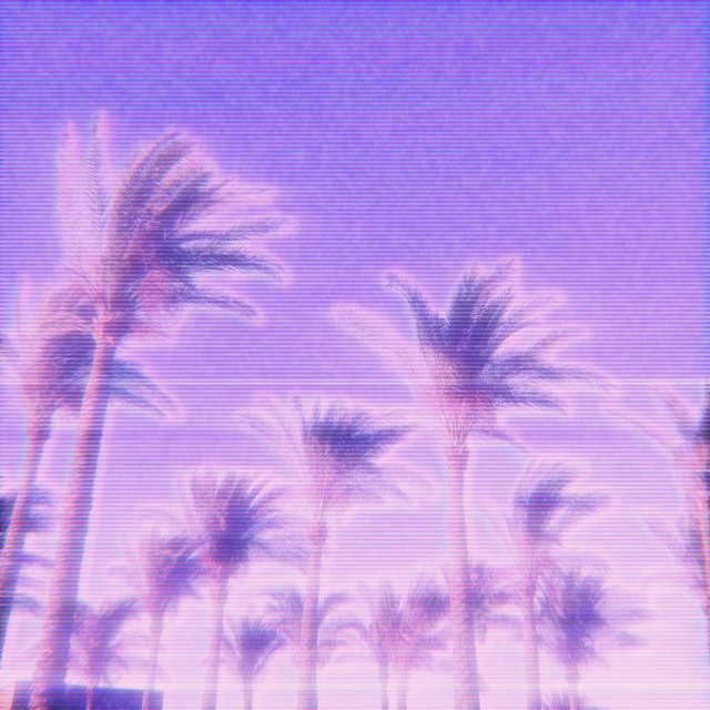 Snowy Palms cover