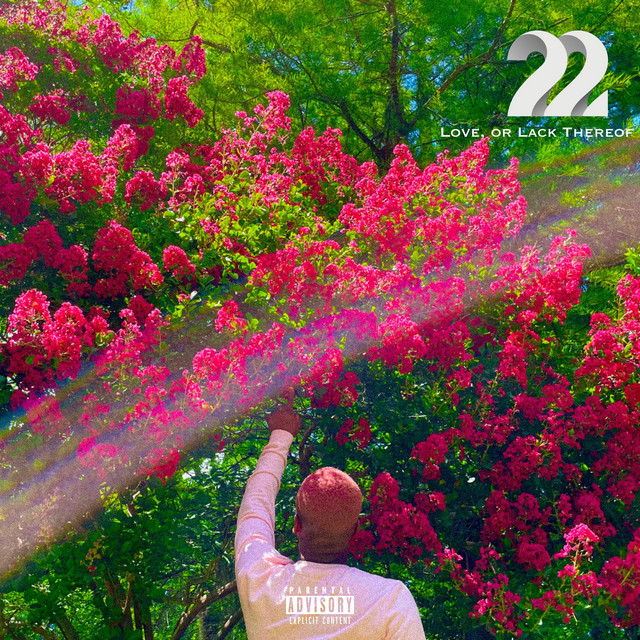 22: Love, or Lack Thereof cover art