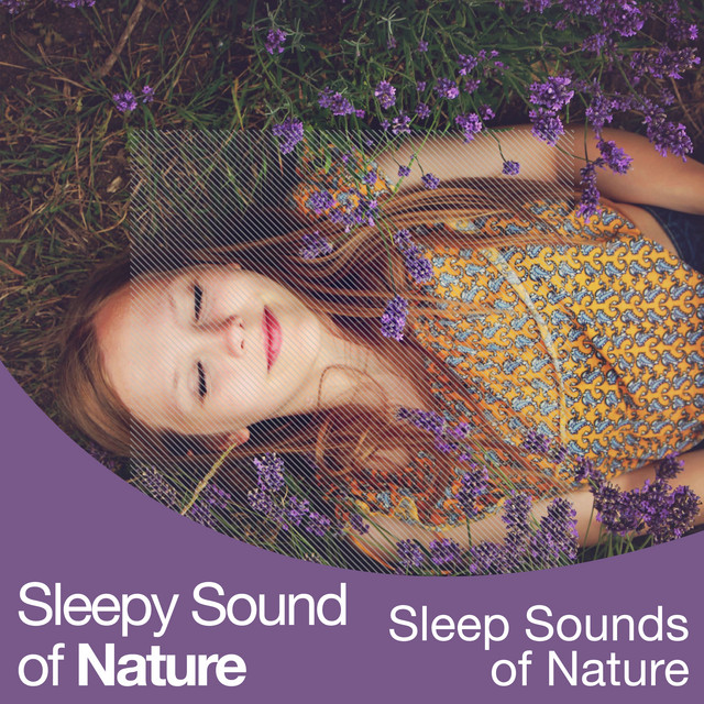 Sleepy Sound of Nature - Album by Sleep Sounds of Nature | Spotify
