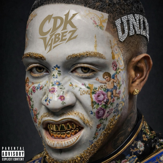 Mr.Vybez cover art
