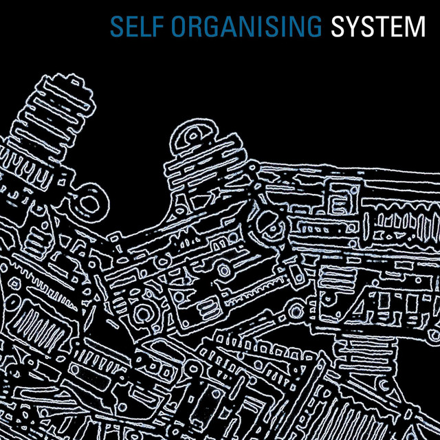 Self Organising System cover art