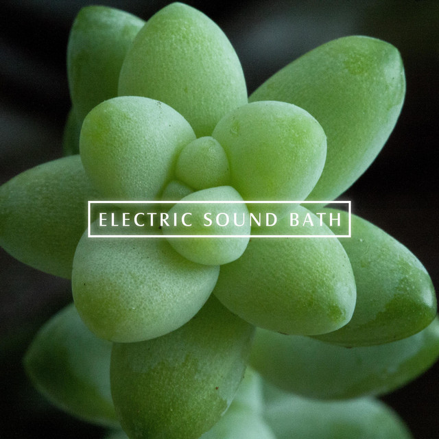Muted Mantra (single)