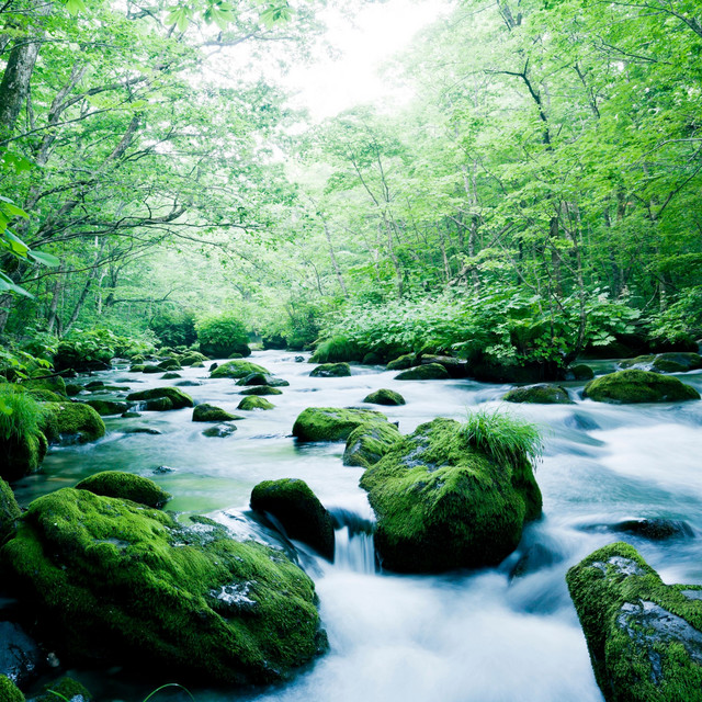 Babbling Brook of Spring cover art
