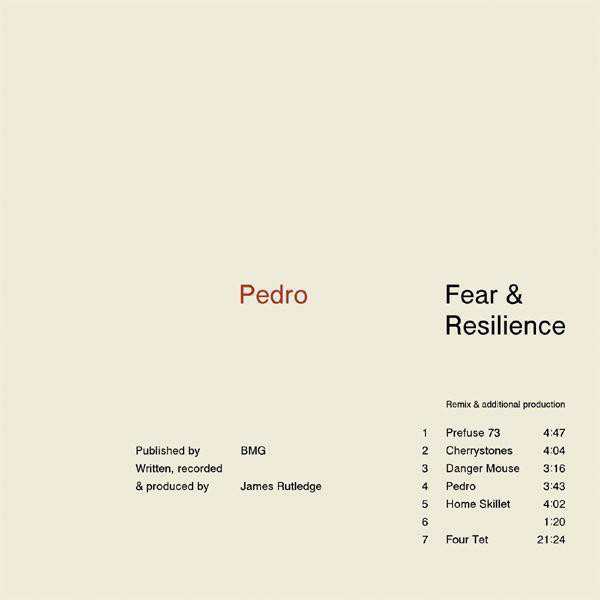 Fear & Resilience cover art