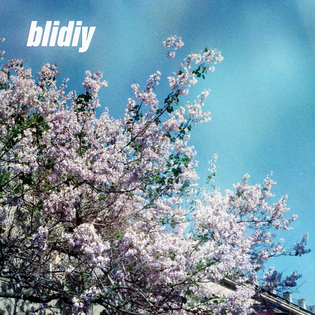 Обкладинка: Наздоганяючи смерть — blidiy