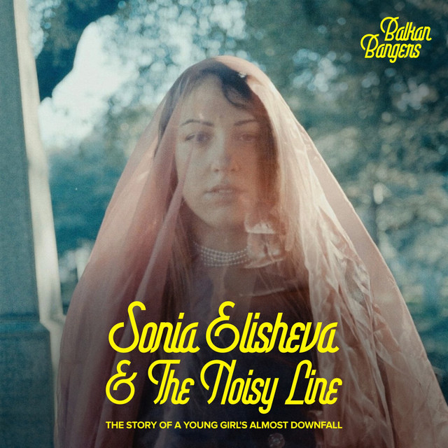 Обкладинка: The story of a young girl's almost downfall — Sonia Elisheva