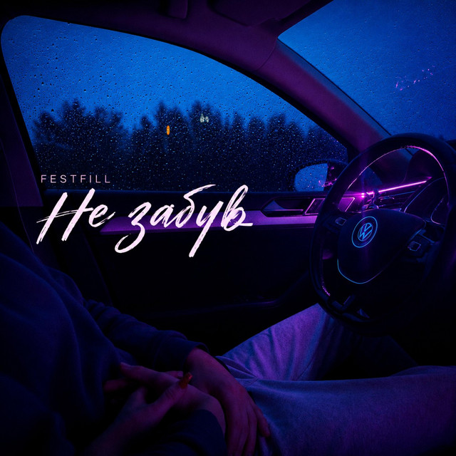 Обкладинка: Не Забув — Festfill