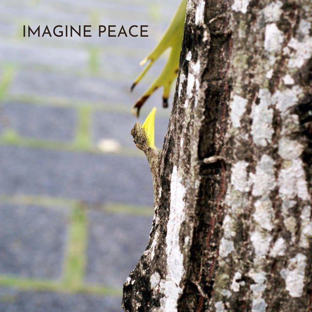 Imagine Peace cover art