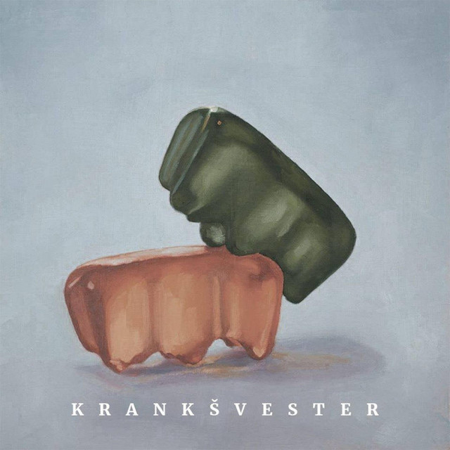 Švester je istina cover art
