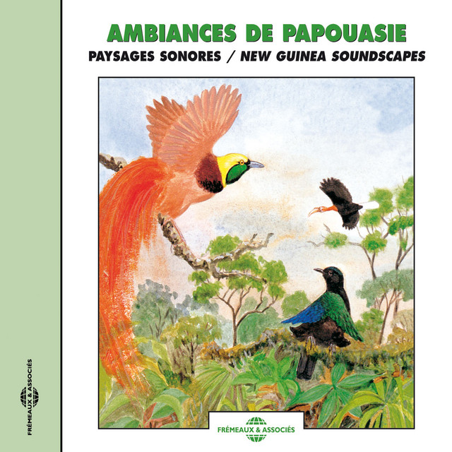Ambiances Sonores De Papouasie