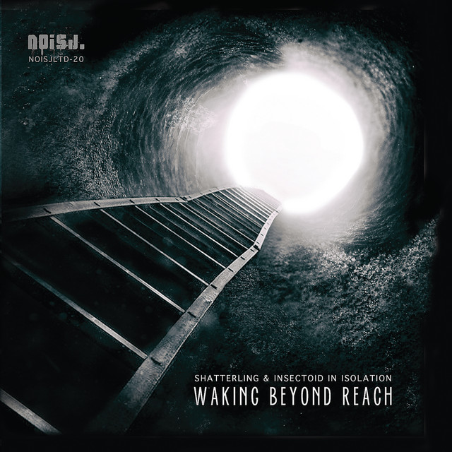 Waking Beyond Reach cover
