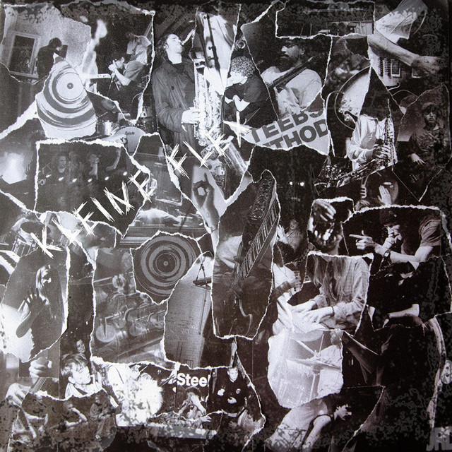 Kleine Flex cover art