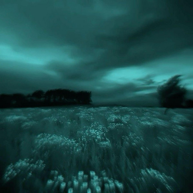 Spectre/Rainfall cover art