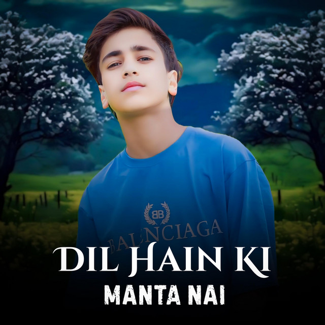 Dil Hai ki Manta Nahi cover art