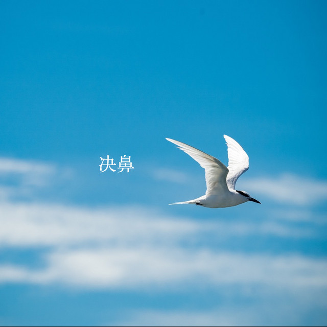 李育彤
