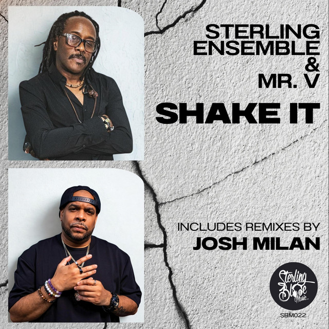 Shake It cover art