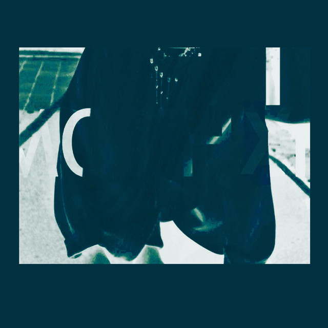 Stranger cover art