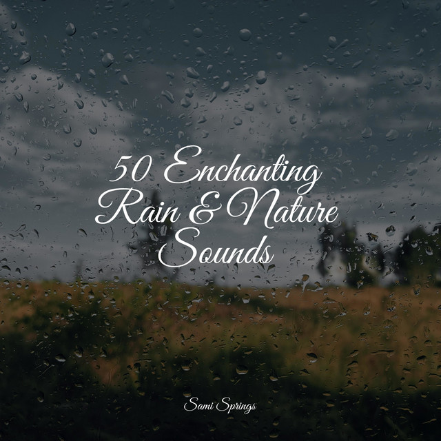 50 Ambient Rain Recordings for Sleep - Album by Sample Rain Library ...