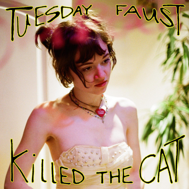Killed the Cat cover art