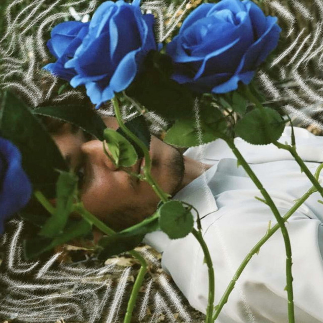 Sultry Have Gone the Roses cover art