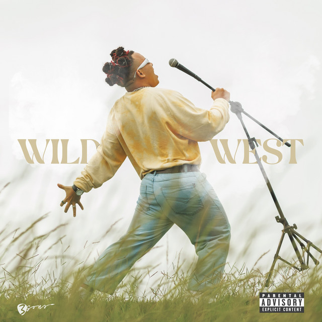 WILD WEST cover art