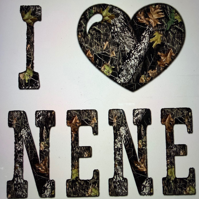 NENE (Juanpa Gordoa Remix)