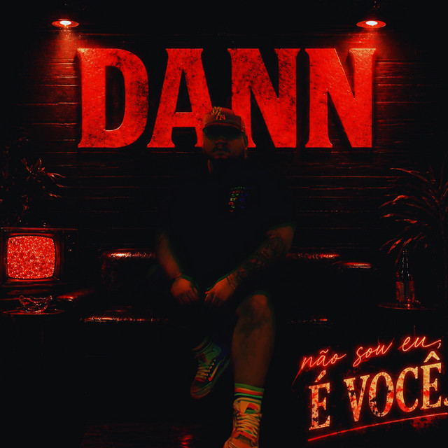 Não sou eu, É VOCÊ! cover art