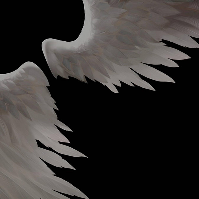 ICARUS cover art
