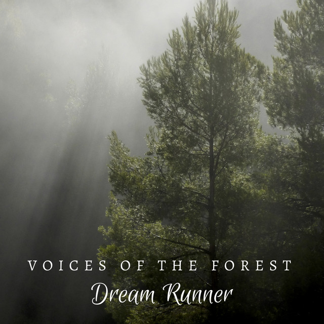 Voices of the Forest cover