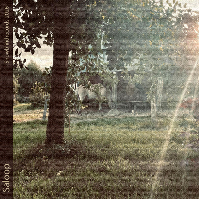 Vapours cover art