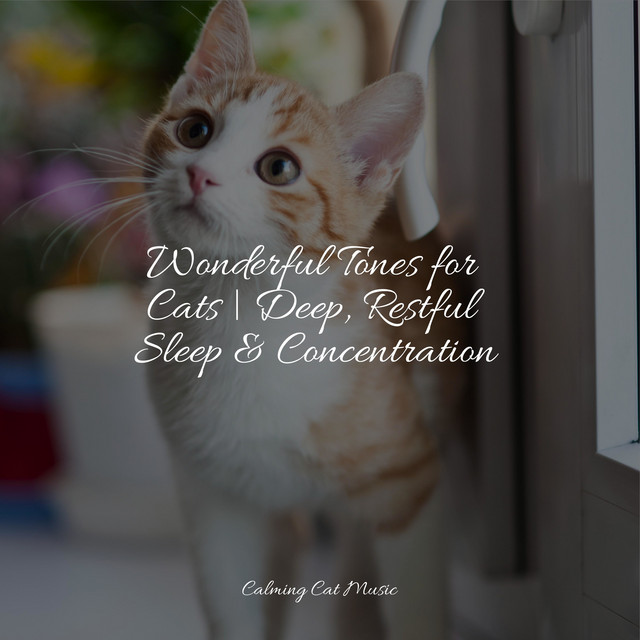 Wonderful Tones for Cats | Deep, Restful Sleep & Concentration cover art