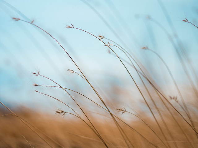 Passion | Peaceful Zen Music Resting and Sleeping, Relaxing Music cover art
