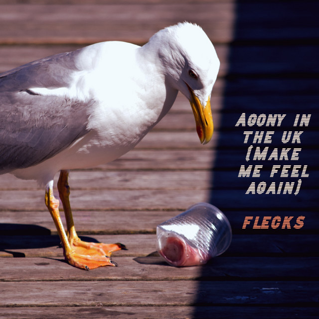 Agony in the UK (Make Me Feel Again) cover art