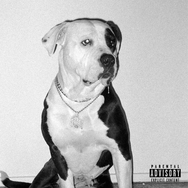 Cover du titre 7 SUR 7