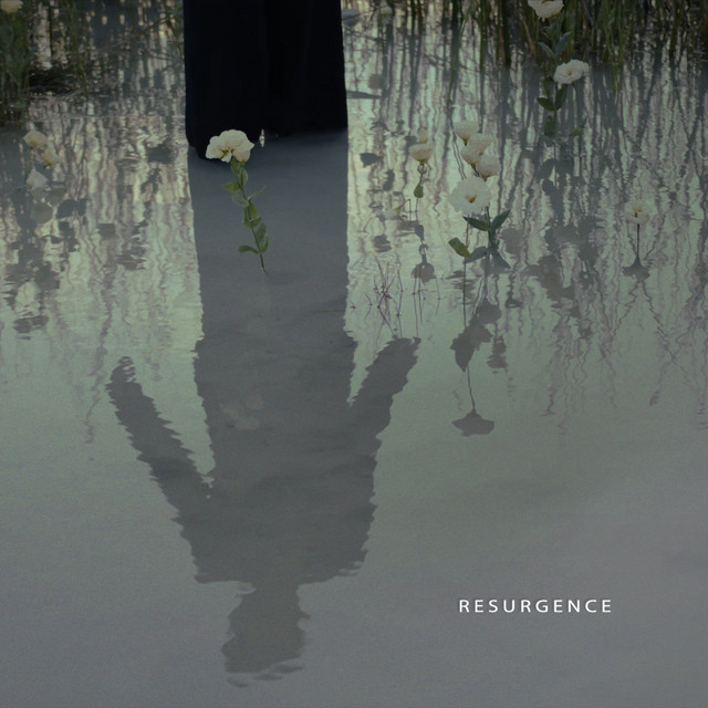 Обкладинка: Resurgence — LÜRUM