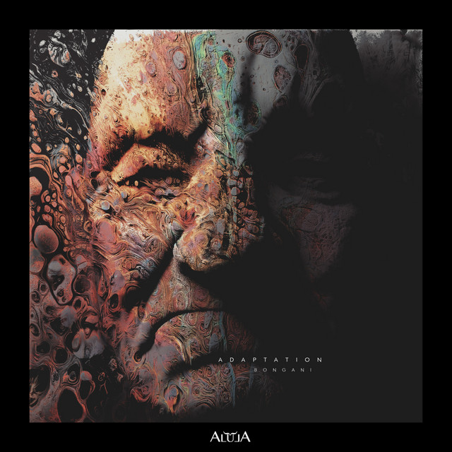 Adaptation album art