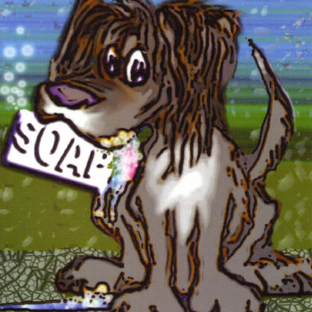 Soap cover art