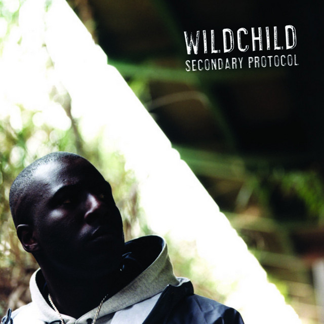 Secondary Protocol cover art