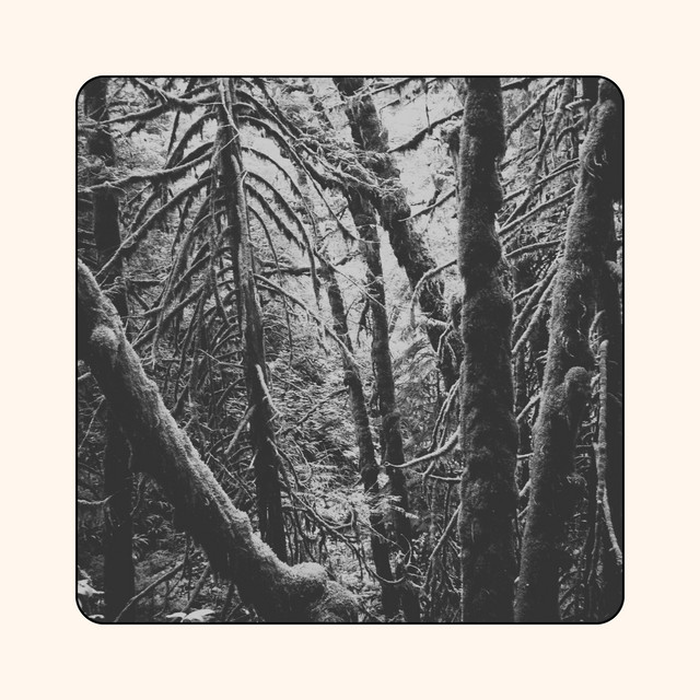 Shaw cover art