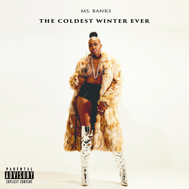 The Coldest Winter Ever cover art