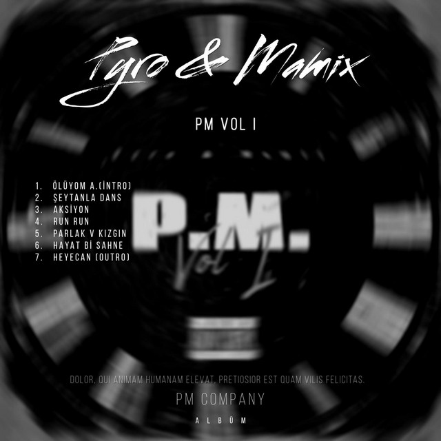 PM VOL 1 cover art