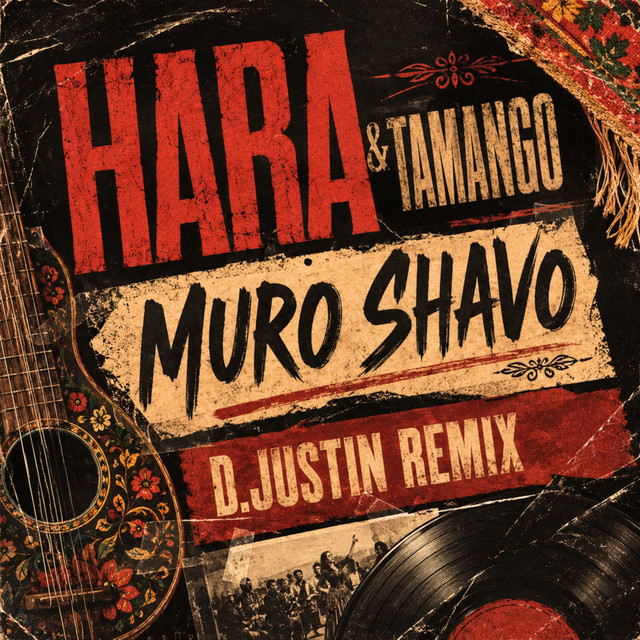 Muro Shavo (D.Justin Remix) cover