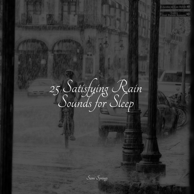 25 Satisfying Rain Sounds for Sleep - Album by Academia de Música con ...