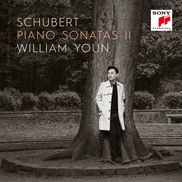 Piano Sonata No. 20 in A Major, D. 959: III. Scherzo. Allegro vivace - Trio