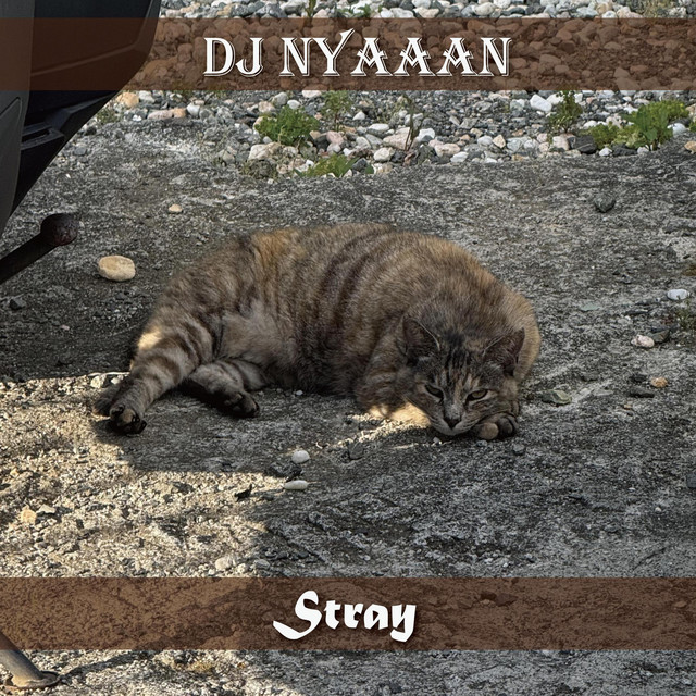 Stray